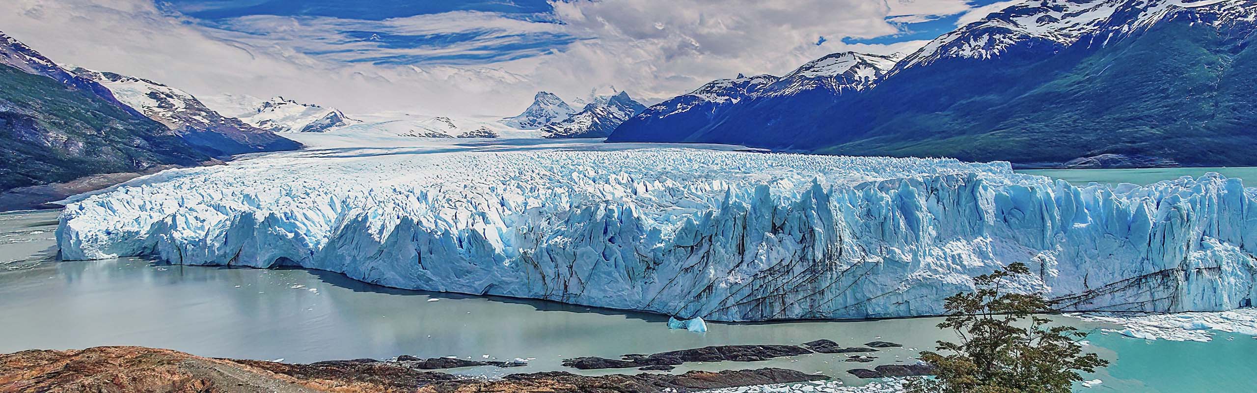 Perito Moreno glacier by Field Guides tour participant Gregg Recer Perito Moreno glacier by Field Guides tour participant Gregg Recer