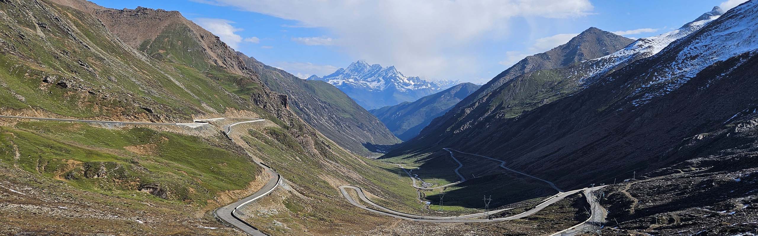Dark-breasted Rosefinch photo by Field Guides participant Kevin Watson Dark-breasted Rosefinch photo by Field Guides participant Kevin Watson