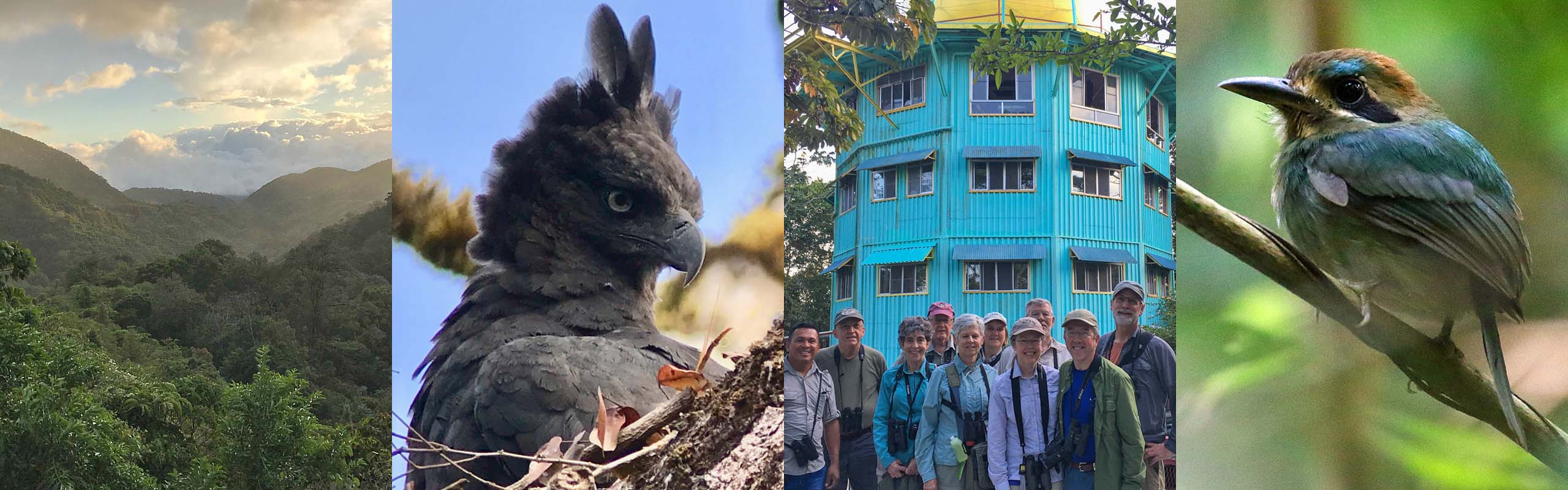 Panama scenes from Field Guides tours Panama scenes from Field Guides tours