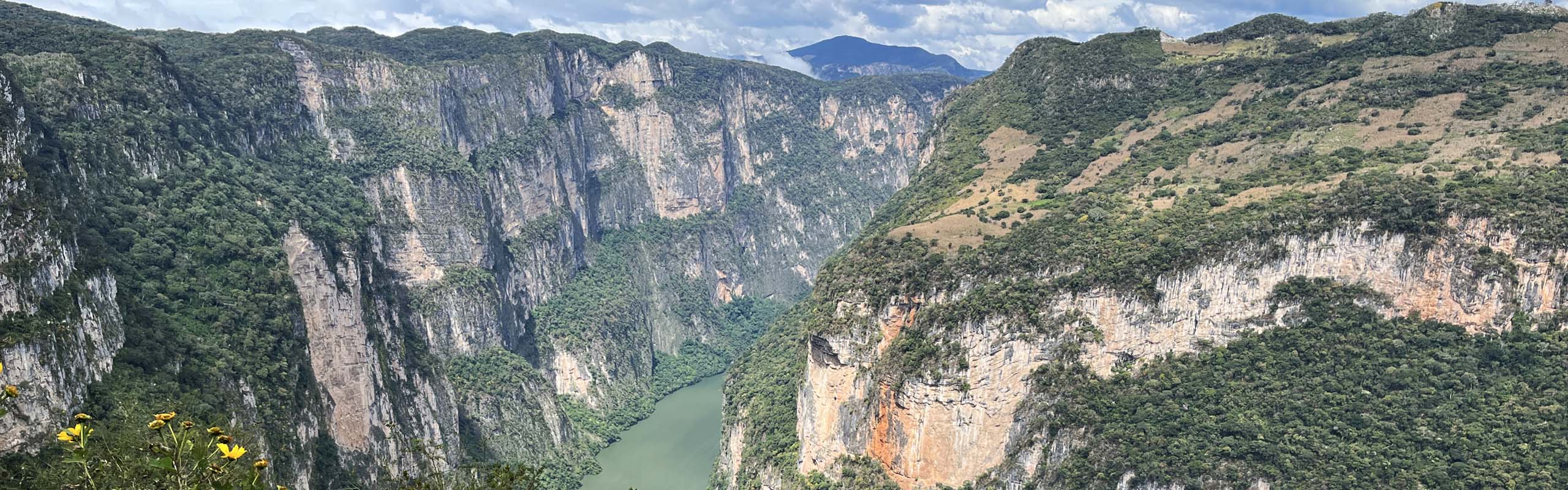 Sumidero Canyon 2 Field Guides Birding Tours Mexico Sumidero Canyon 2 Field Guides Birding Tours Mexico