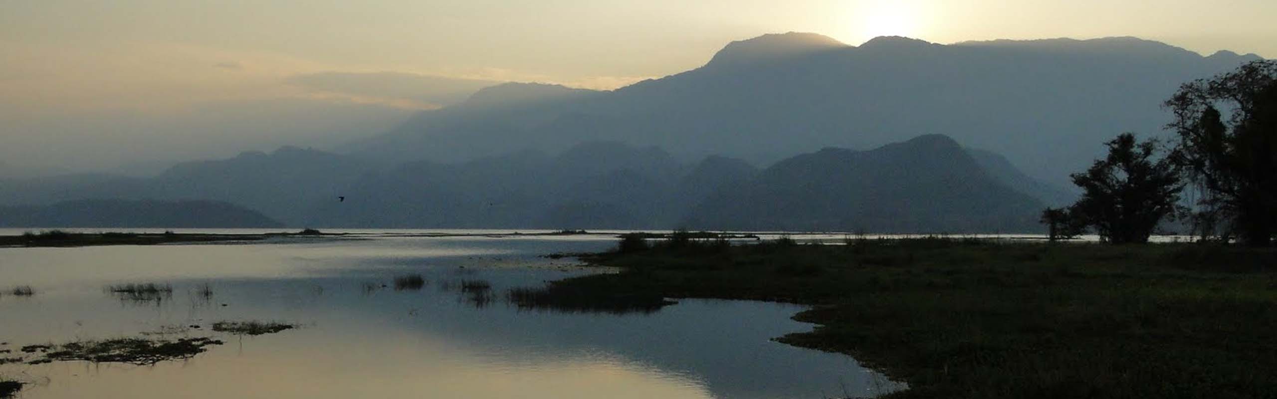 Lake Yojoa Field Guides Birding Tours Honduras Lake Yojoa Field Guides Birding Tours Honduras