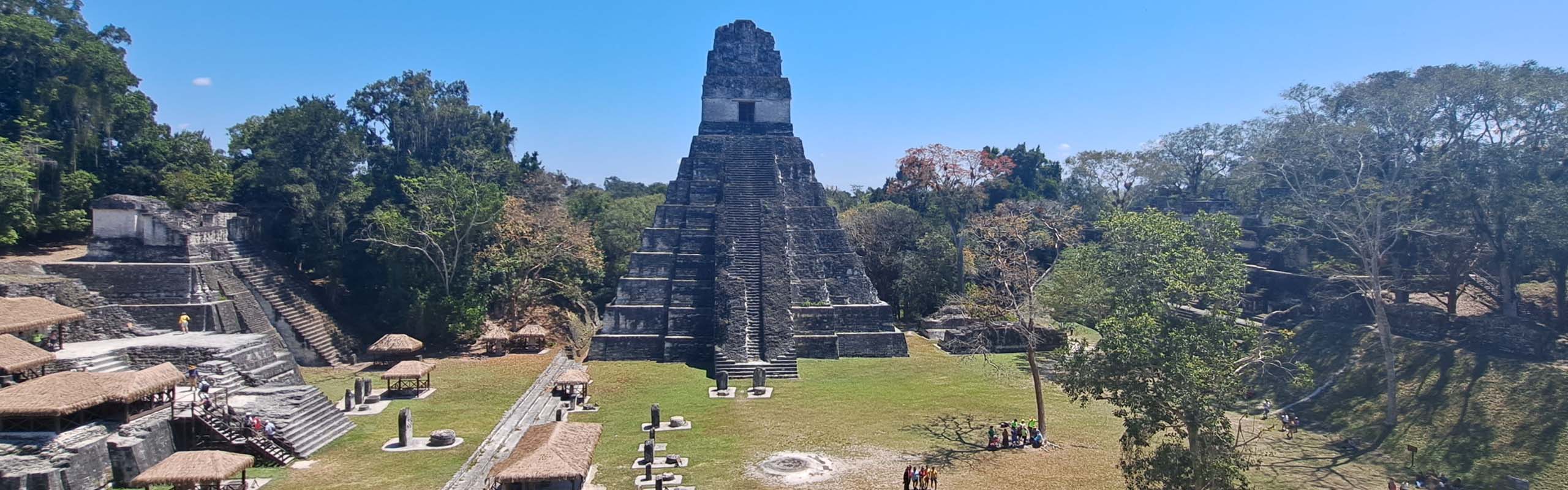 Tikal Field Guides Birding Tours Guatemala Tikal Field Guides Birding Tours Guatemala