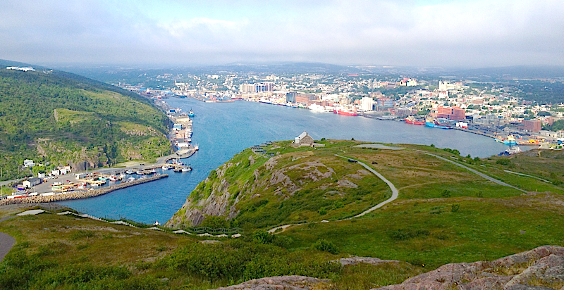 FIELD GUIDES BIRDING TOURS: NEWFOUNDLAND & NOVA SCOTIA